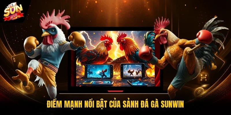 Điểm mạnh nổi bật của sảnh đá gà Sunwin